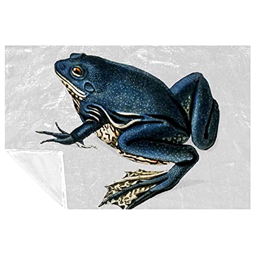 Couverture douce et chaude imprimé grenouille lit et canapé - 2