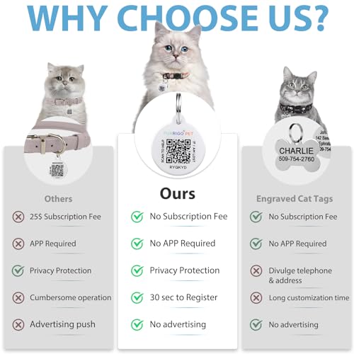 Collier pour chat avec code QR et clochette réfléchissante ajustable