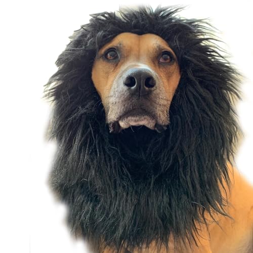 Lion Mane For Dog Pet Costume - FMJI Dog Clothes Lion Wig Without Ears For Halloween Festival Party (Black)