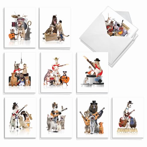 Cartes toutes occasions Animal Bands pour accompagner vos cadeaux et présents
