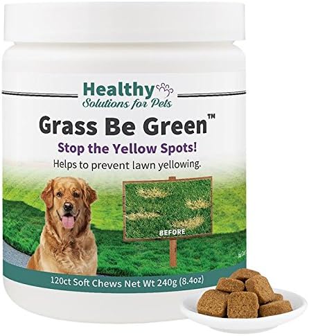 No More Yellow Spots on Your Grass, Stop The Grass Burn and Pee Stains with Our Grass Be Green Solution, Made in The USA by Healthy…