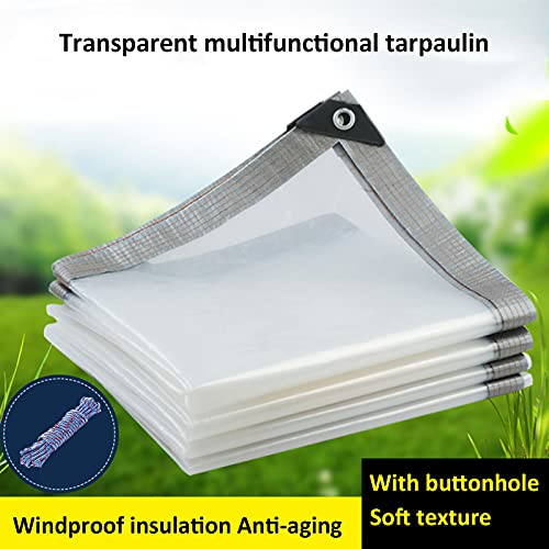 Lona para balcón cortavientos e impermeable de plástico transparente 2x4m 3