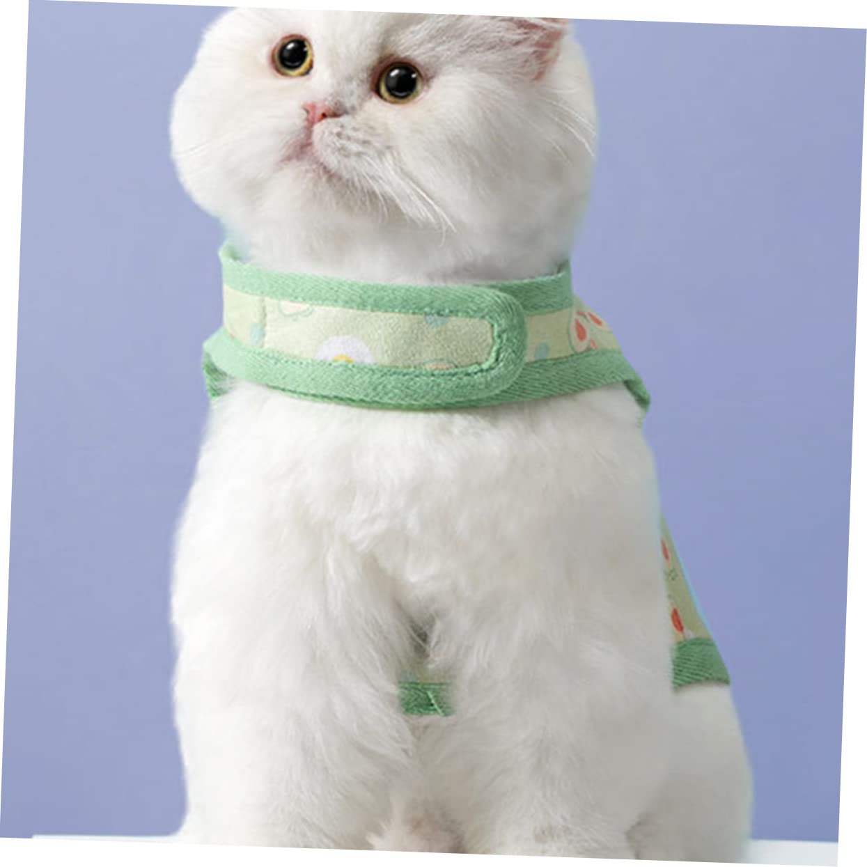 Yardwe 3juegos Arnés para Gato con Diseño De Arnés De y Resistente con para Paseos para De Accesorio Adorable para y Gatos