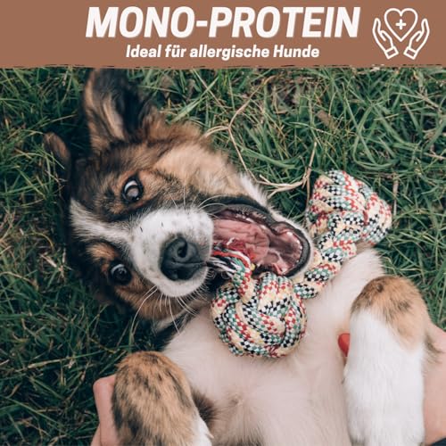 PrideDogs Büffelfleischstreifen 1000g - Premium Kausnack für Hunde - 100% Büffel Deutscher Herstellung - verschließbarer Beutel