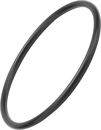 CCX1000G Body O-Ring Seal for Hayward XStream CCX1000
