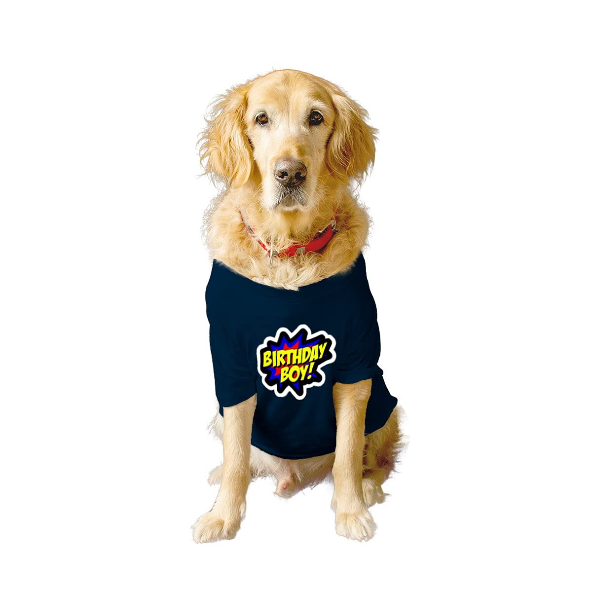 RuseRuse Basic Crew Neck Birthday Boy Printed Half Sleeves/Apparel/Clothes/T-Shirt Gift for Dogs.Colour-Navy/X-Large (Saint Bernard, Great Dane etc.)