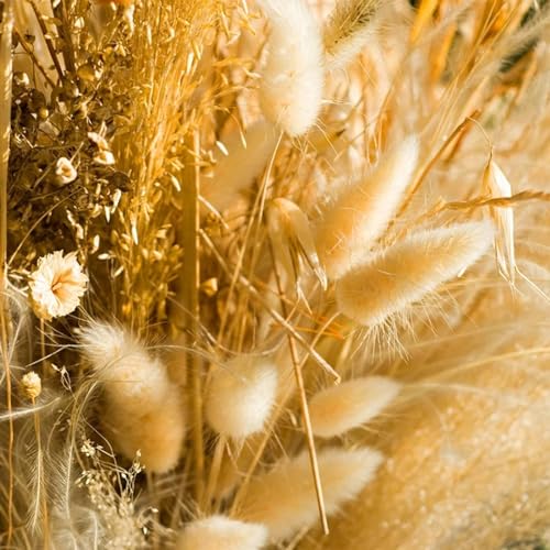Pampas Grass Decor Alto 50Pcs Estilo 4 Natural miniatura 5