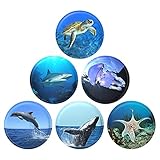 AISIR Klett-Set, 6 Stück Verschiedenen Motiven Universal alle Marken Kinderschultaschen, und Kompatibel mit Marke Ergobag/Scout/McNeill/Step by Step-Serie Schultasche für Kinder, 2021 Neu.