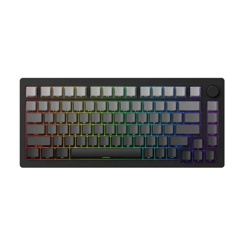 Amazon | 【国内正規品】MonsGeek(モンスギーク) M1W-SP 英語配列 有線 