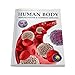 Human Body: Immune System And Common Diseases (Knowledge Encyclopedia For Children)
