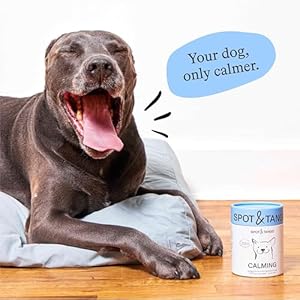 Spot-Tango-Calming-Supplements-for-Dogs-Vet-Approved-for-Anxiety-and-Stress-Relief-L-Theanine-Passionflower-Ashwagandha-Chamomile-Flavored-with-Real-Pineapple-56-Count - Cucciolini Doodles   Spot-Tango-Calming-Supplements-for-Dogs-Vet-Approved-for-Anxiety-and-Stress-Relief-L-Theanine-Passionflower-Ashwagandha-Chamomile-Flavored-with-Real-Pineapple-56-Count