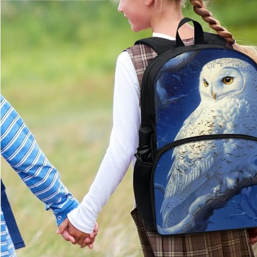 Snowy Owl Print Boys Backpack for School with Insulated Lunch Bag Student Comfy Padded Back Smooth Zipper 17 Inch School Bookbag for Boys Backpack with Lunch Box4