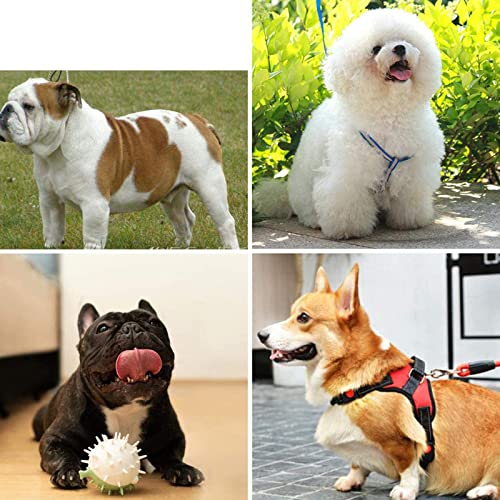 KOMFGT Esteira dobrável para cães e animais de estimação, equipamento de fitness, com tela de exibiç