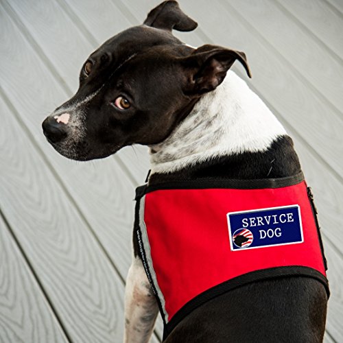 Workingservicedog.com Service Dog Sew On Patch - Includes Five Service Dog Law Handout Cards – For Service Dog Vest Or Harness #TOP4