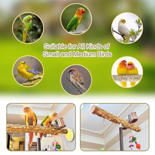 Image of 18-27 Inch Height Adjustable Bird Perch Pepper Wood Desktop Bird Training Perch Stand with Feeding Cups and Swing Toy Parakeet Perches Indoor and Outdoor Parrot Stand for Small to Medium Birds