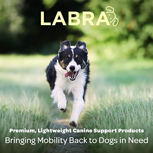 Image of Labra Dog Canine K9 Shoulder Elbow Callus Pain Relief Brace - Hot Spot Hygroma Hotspot Wound Chewing Protector Wrap For Arthritis, Sprained, Injured Joints Vet Approved - Small, Left Leg