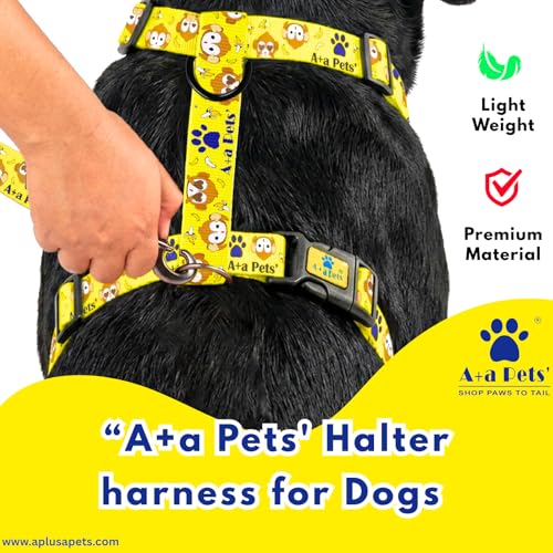 Image of A+a Pets' H-Harness for Dogs, Cats | Soft Premium Waterproof (Beachy Vibes, L)