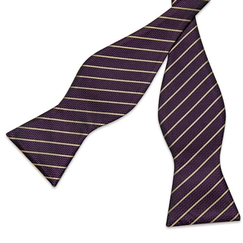 Pajarita clásica a rayas para hombre con set de pañuelo y gemelos miniatura 4