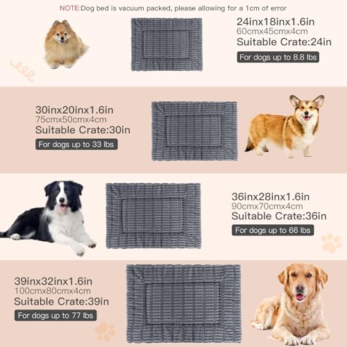 IEUUMLER Hundebett, Waschbare Hundematte, Memory Foam Hundekissen Flauschig und Warme Hundedecke für Unterwegs, Katzenkissen für Große und Kleine Hunde oder Katze FC020 (Grau, S-60x45cm)