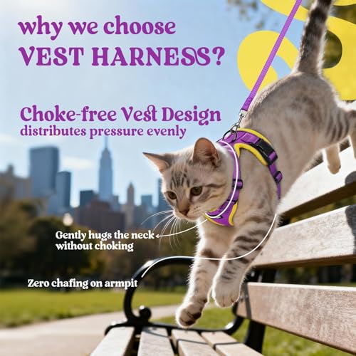 Image of rabbitgoo Cat Harness and Leash Set, Escape Proof Vest, Purple & Yellow | Soft Breathable Mesh, Easy Adjustable Fit, Snap Buckles, Sturdy Clip, Reflective Strips, for Average Cats Walks, S