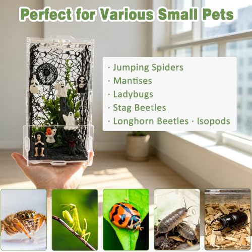 Image of 20PCS Acrylic Jumping Spider Enclosure Kit | tool-free snap assembly, fits mantis tarantula snail isopod, desktop display