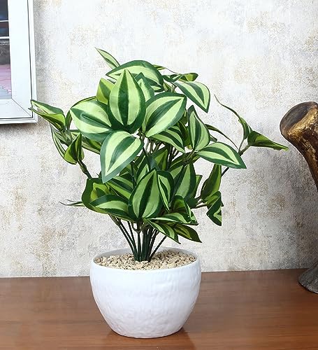 Image of Foliyaj Artificial Watermelon Plant Bush with Plastic Pot for Home Decor | Potted Artificial Plants | Decorative Table Top Indoor Plants Bonsai for Office Desks & Counters | 32 cm Height