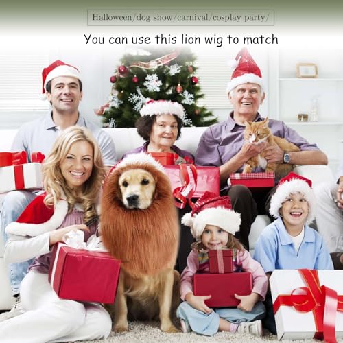 VIDSTW Lions Mane mit Realistische Ohren für Hundekostüm Löwenmähne Perücke Hundekostüm Einstellbar Halloween Löwenmähne Hund Kostüm Hund Tierverkleidung für Mittlere und Große Hunde (Rotbraun)