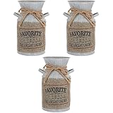 Pot de lait rustique : vase shabby chic au design chic et intéressant peut gagner votre amour et vous apporter de la bonne humeur.