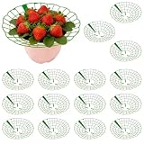 15 Stück Erdbeerreifer & Fruchtreifer Erdbeeren, Erdbeerstützen Ständer, Kunststoff Erdbeerregal, Abnehmbares Erdbeerschutz für Erdbeeren Pflanzen, Schneckenschutz und Schutz vor Fäulnis Schimmel