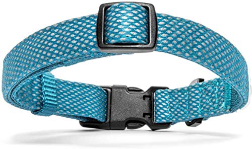 Embark Illuminate Reflective Dog Collar – Made with Reflective Material to Make Your Dog Collar Visible and Light at Night (Small, Blue) - Thumbnail 6
