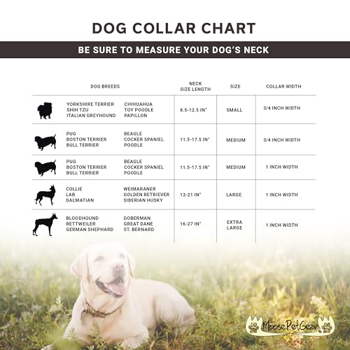 Image of Dog Collar - Colored Adjustable Pet Collars, 3 /4 Inch Wide, Medium, Light Red