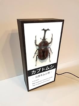 日本のコガネムシ科図鑑 3巻セット Amazon.co.jp: カブトムシ コガネムシ 甲虫 図鑑 生物 理科 看板