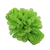 Quantity: 10 Jungen Baby 10 Wickelkopf Blume Mädchen Haarreif Farbe Kleinkind Babypflege Spielbogen Hund (,Colorful, One Size)