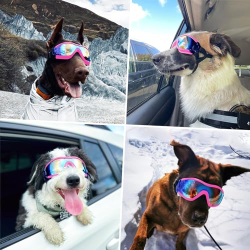Lunettes de protection pour chien souffrant de sensibilité oculaire au soleil