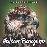  Halcón Peregrino Calendario 2022: Calendario 12 meses 2022 - 8.5 x 8.5 in cuando está cerrado y 8.5 x 17.0 in abierto - Organización y Planificación - Perfecto como regalos, suministros de oficina