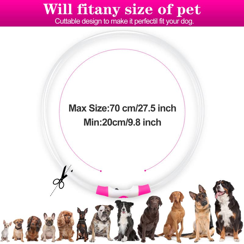 Sofore Collare Luminoso per Cani,Luz de Collare Luminoso Per LED Para la Oscuridad,USB Recargable 3 Modos de Flash Collare Luminoso per Cani Ricaricabile Tamaño Ajustable,Adecuado para Perros,Rosa