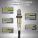 A-tnewb 2PCS Oxygen Sensor 234-5068 234-4575 Compatible with 2014-2018 Ford Focus 2.0L (Non-Turbo) Upstream & Downstream
