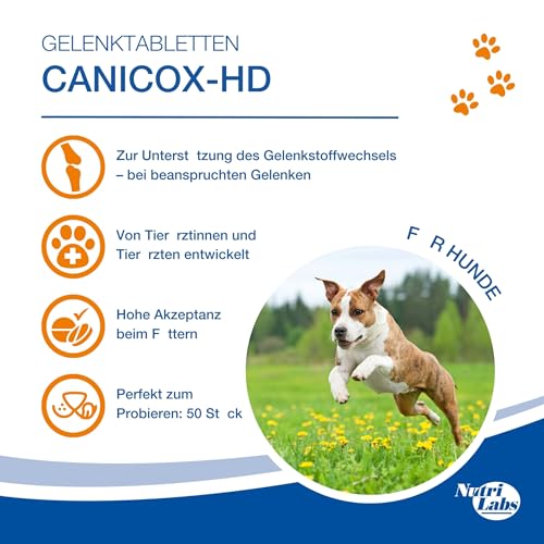 NutriLabs Canicox-HD Gelenktabletten für Hunde 50 Stk. - mit MSM, Chondroitin, Hyaluronsäure, Glucosamin & Teufelskralle - Gesundheitsprodukte für Hunde - Nahrungsergänzungsmittel Hund