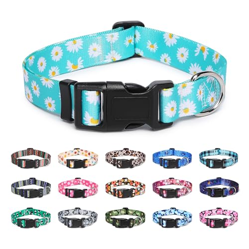 Suredoo Hundehalsband Verstellbares, Weich & Komfort Nylon Hunde Halsband für Kleine Mittlere Große Hunde Welpen Katzen (S, Blaue Gänseblümchen)