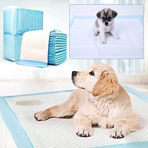 SMELL & SMILE Empapadores Desechables Perros Gatos Toallitas de Entrenamiento para Mascotas empapadores para Perros (60 * 90cm 30PC)