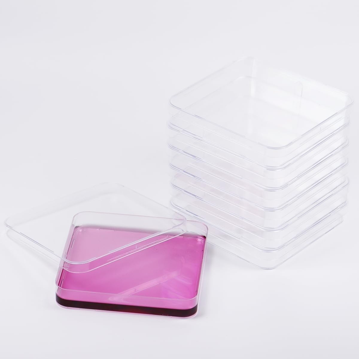 10 placas de Petri cuadradas de 13 mm × 13 mm - Placas de Petri de plástico con tapa, aptas for análisis de cultivos de laboratorio