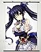 Home Decor Anime Hyperdimension Neptunia Neptune Wall Scroll Poster Fabric Painting 23.6 X 35.4 Inches-039