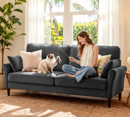 Image of Loveseat Sofa, 69 inch Love Seat Couches, Comfy Velvet Small Couches for Small Spaces with 2 Pillows, Tool-Free Setup Sofas & Couches, 700lb Load Sofas for Living Room, Mini Couch for Bedroom, Charcoal