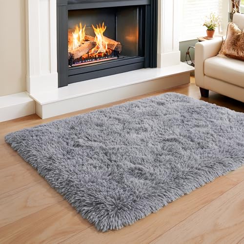 KING DARE Grey Soft 2x3 Rug, Small Shag Area Rug for Bedroom Bedside Dorm, Plush Non-Slip Fluffy Plush Carpet for Living Room Kids Room Nursery, Modern Home Decor Aesthetic