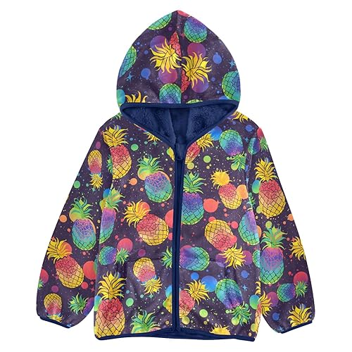 Colorful Pineapples Boys Fleece Hoody Jacket Zip Up Coat Warm Fall Winter Plush Jacket Long Sleeve Outerwear