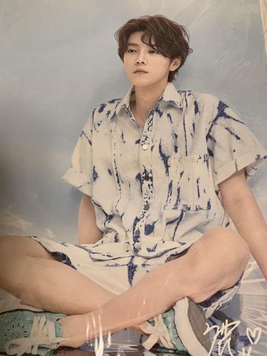 Amazon.co.jp: 鹿晗 ルハン EXO 写真集一冊ポスター30枚 ポスト