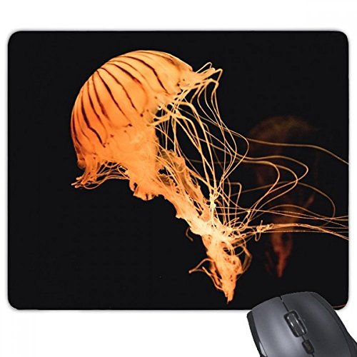 CmNQȊw͎R̎ʐ^ `̃mXbvSpbh̃Q[}EXpbhv[g