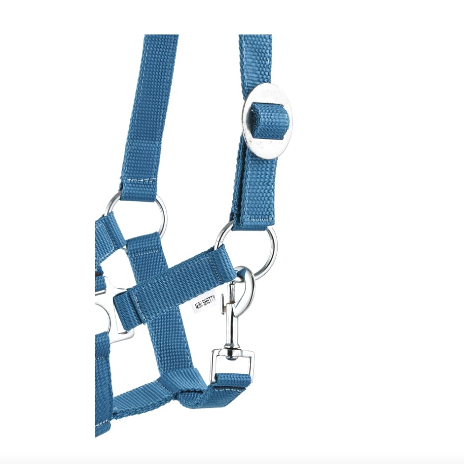 Halter Lead Rope Set including Snap Hook Adjustable Horse Halter Horse Wooden Horse Tie Rope (Carabiner Hook Blue, Mini Shetty) - Image 2