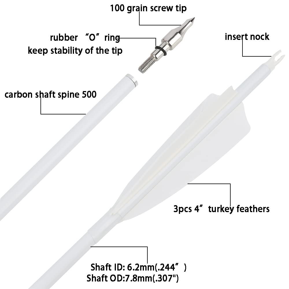 Flèches Carbone HNZMDY 31 Pouces - Plumes Naturelles 5'' - SP250-600 - Chasse