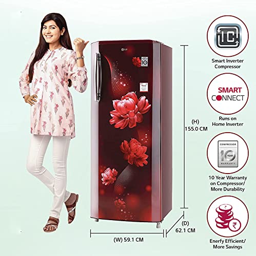 LG 270 L 3 Star Inverter Direct-Cool Single Door Refrigerator (GL-B281BSCX, Scarlet Charm, Moist 'N' Fresh, 2022 Model) - Image 3